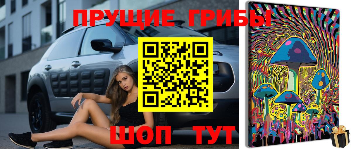 Арзамас  Галлюциногенные грибы Psilocybe  Вход с VPN  Галлюциногенные грибы прущие грибы 